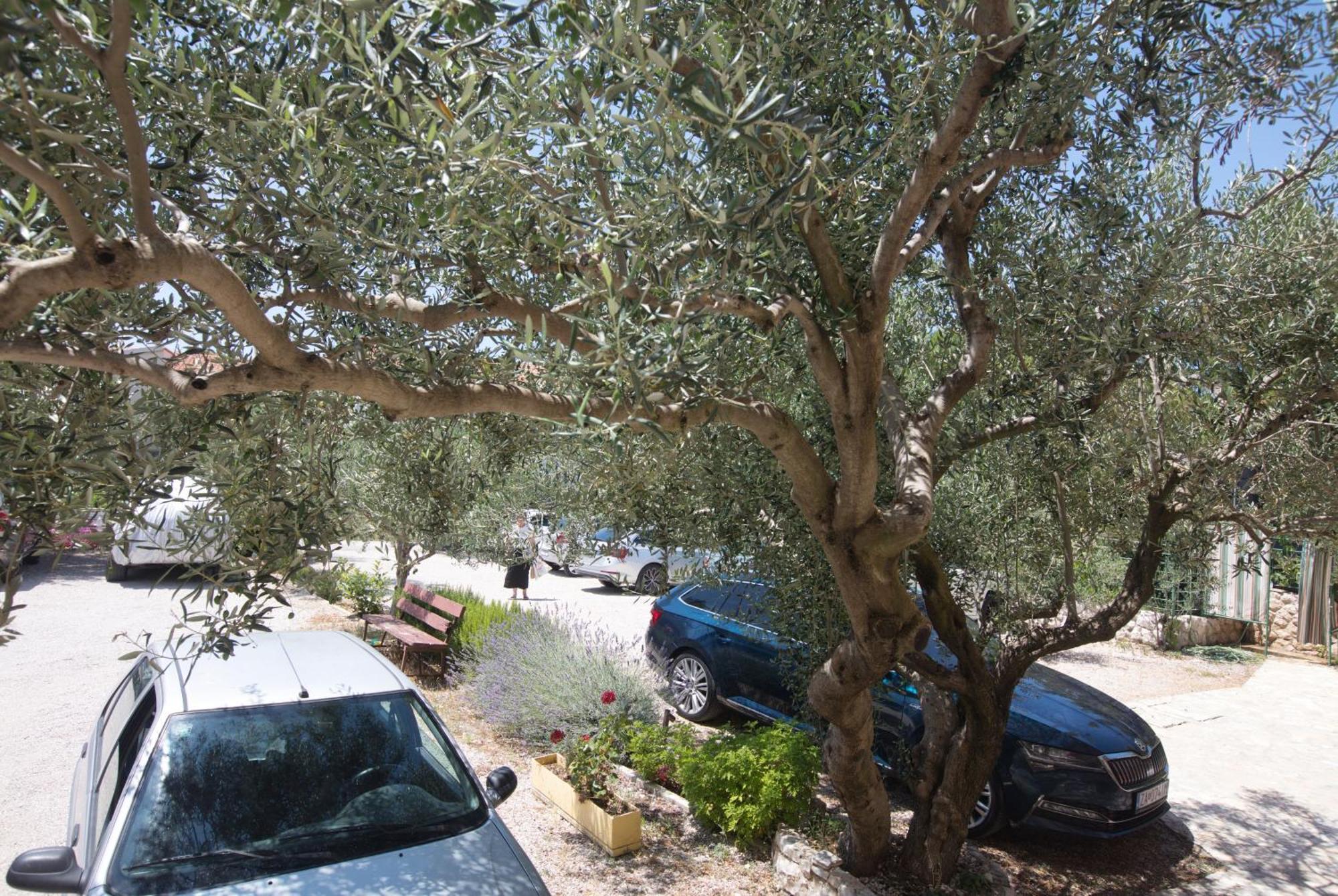 Apartments By The Sea Zaboric, Sibenik - 469 Exterior foto